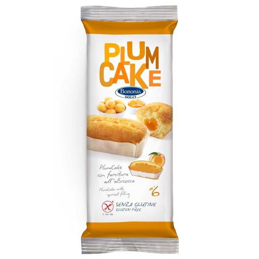 Plumcake Albicocca BONONIA - 270g